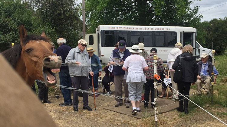 Visiting Swan Farm