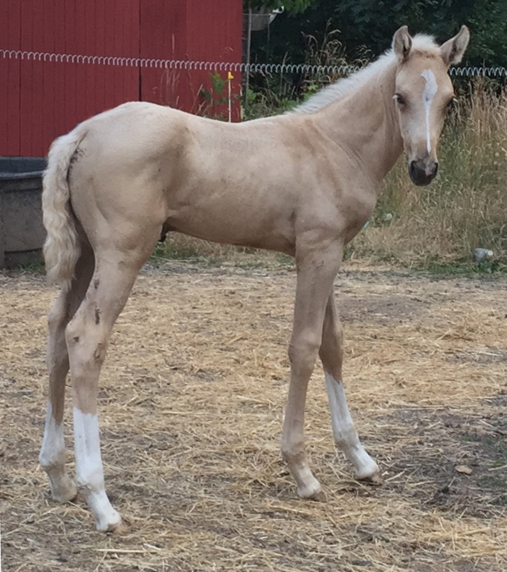 Kamat at three weeks old