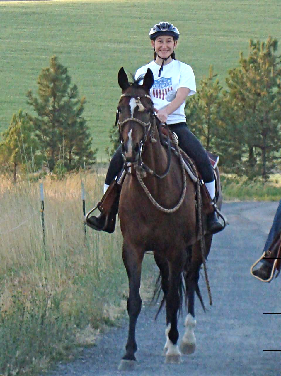 Sarka