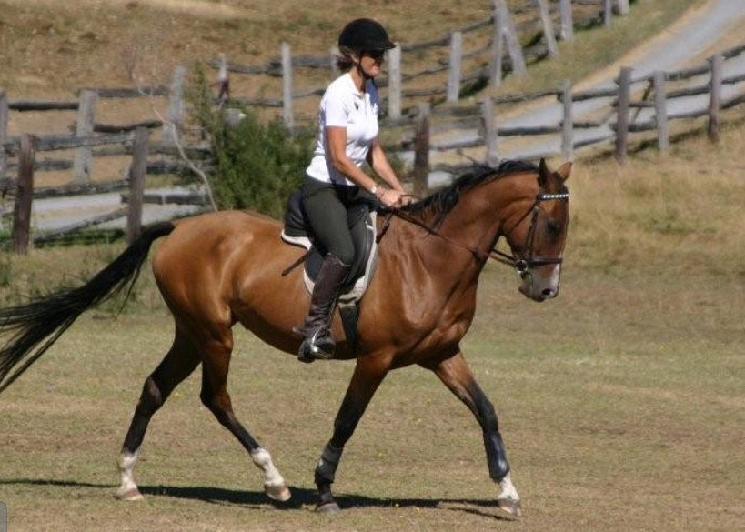 Ulduze at the trot